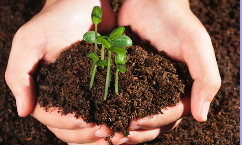 必发888(唯一)官方网站